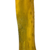 Vickerman 36-38" Basil Kelp - (Sea Kelp), 1 Piece per Pack, Dried
