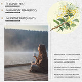 Dried Honeysuckle Tea (160g/5.6oz) | Sealed Jar | Easy to Store | 100% Natural | Honeysuckle Buds | Traditional Dried Flower Tea for Leisure