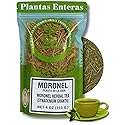 Premium Moronel Loose Leaf Tea - 4 oz (113g) - Planta de la Vida (Synadenium grantii) - Wildcrafted, 100% Natural, Non-GMO - Traditional Herbal