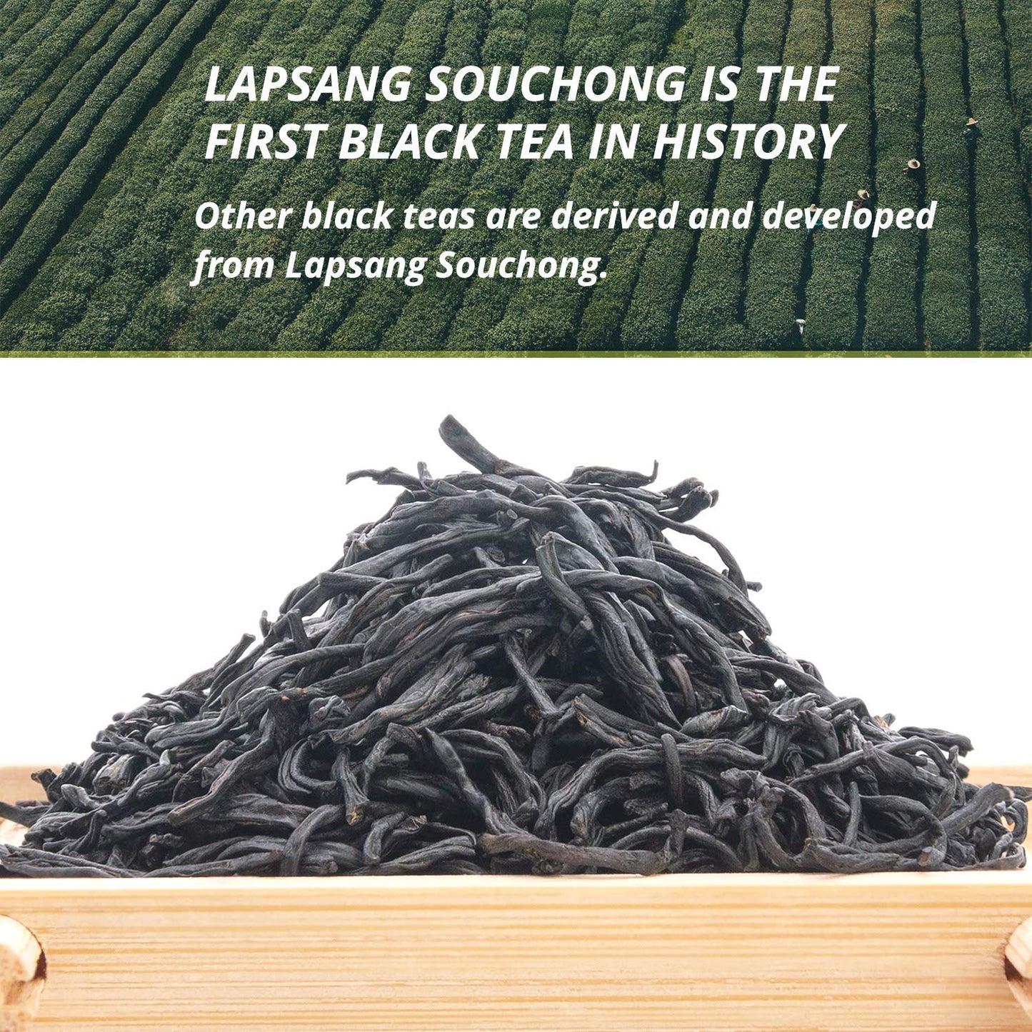 Oriarm Lapsang Souchong Unsmoked Black Tea from Wuyi Mountain- Chinese Loose Leaf Tea Zheng Shan Xiao Zhong without Smoke - 225g Ziplock Resealable