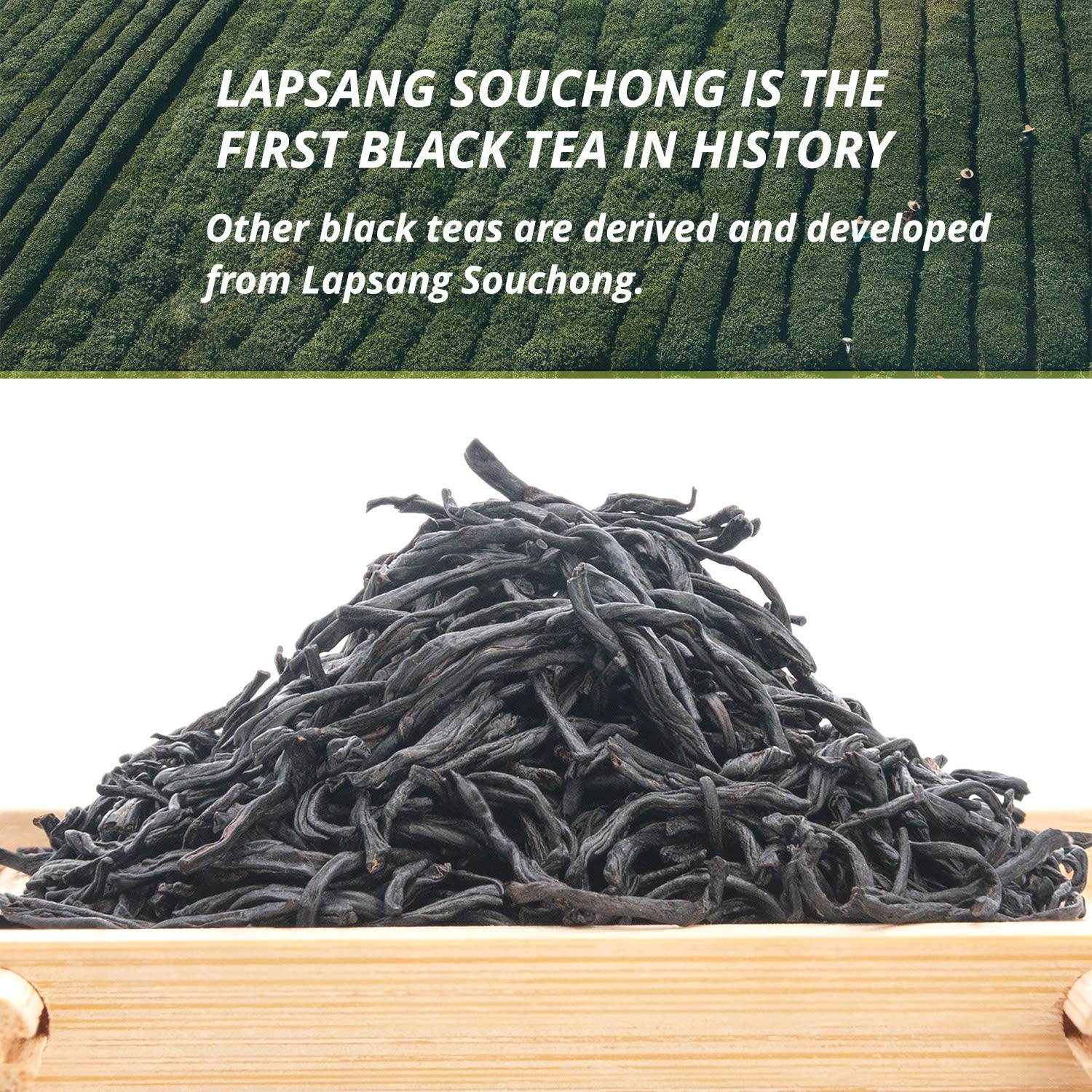 Oriarm Lapsang Souchong Unsmoked Black Tea from Wuyi Mountain- Chinese Loose Leaf Tea Zheng Shan Xiao Zhong without Smoke - 225g Ziplock Resealable