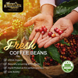 Mt. Whitney Base Camp Blend Coffee Beans - Medium Dark Roast Coffee, Low Acid Coffee - Ground Coffee, 12 oz (Pack of 1)