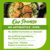 Just Bare® Chicken Lightly Breaded Chicken Breast Fillets| Fully Cooked | 16 G Protein | Frozen | 1.5 LB