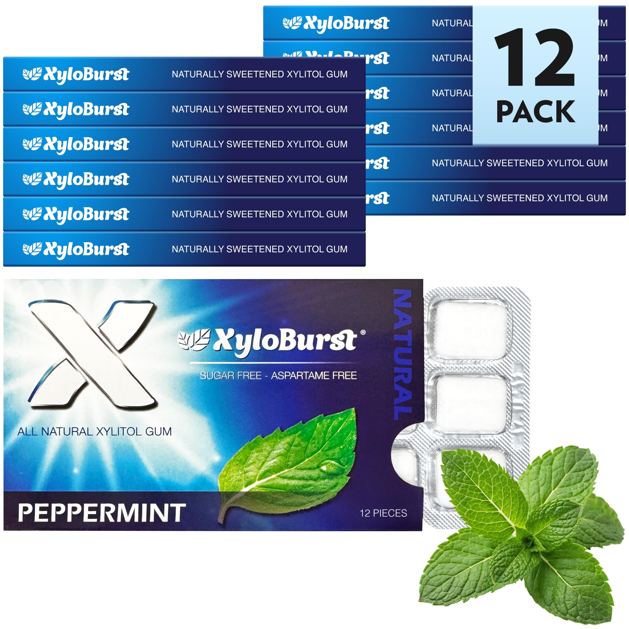 XyloBurst Gum | Xylitol Chewing Gum | Sugar Free, Gluten Free, Keto Friendly | Aspartame Free Gum For Oral Health | Peppermint | 12 Pieces, Pack of 12
