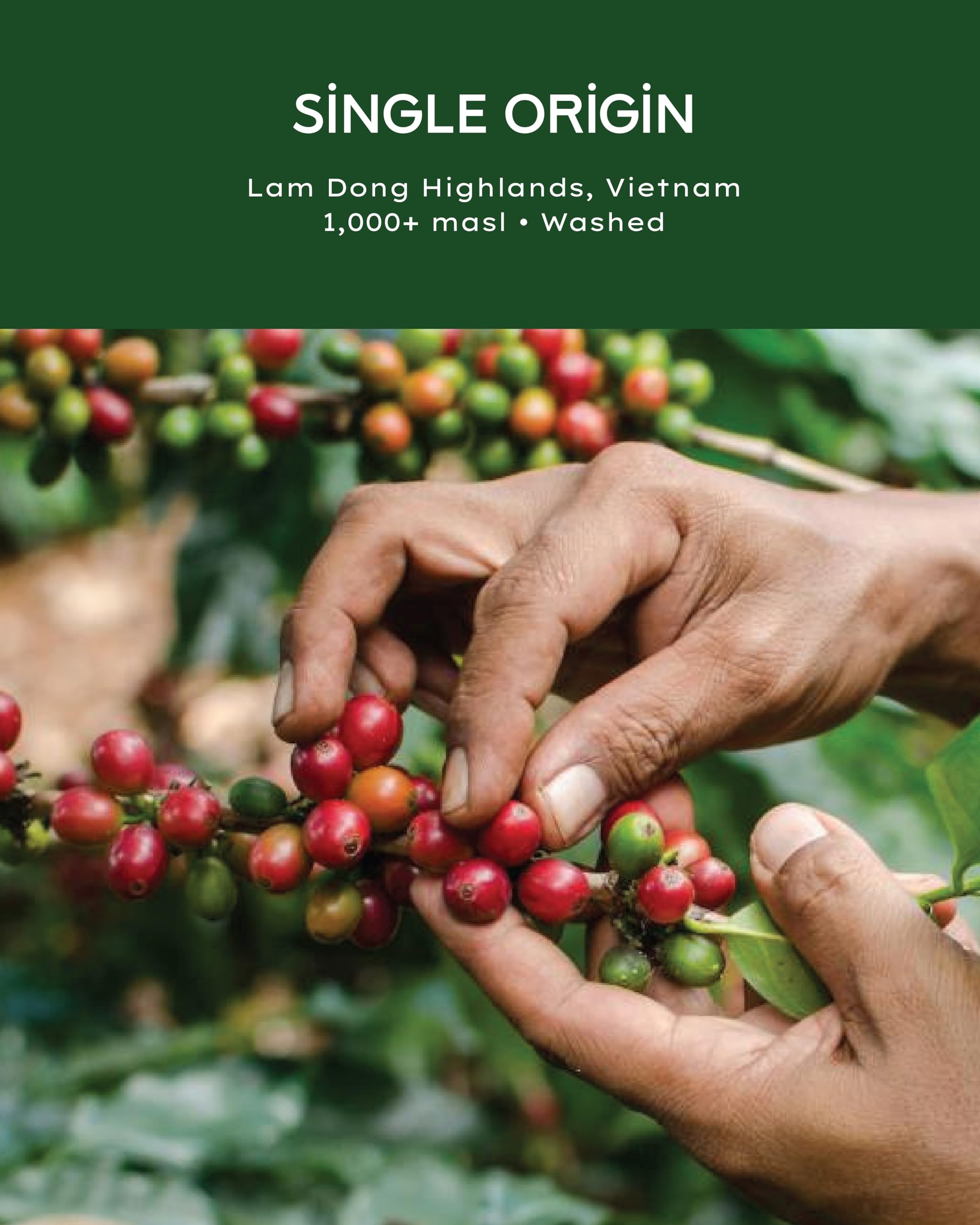 DAKAO COFFEE: Vietnamese Specialty Arabica Ground Coffee, Medium Roast from Lam Dong Highlands, Single Origin, Washed for Clean Flavor, Smooth