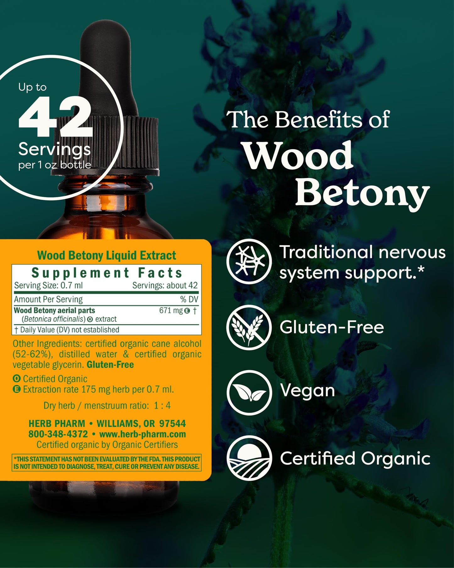 Herb Pharm Certified Organic Wood Betony Liquid Extract - 1 Ounce
