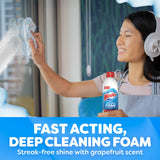 Windex Fast Shine Foam Glass Cleaner Supplies, No-Drip Window & Mirror Aerosol Spray, Streak-Free, Removes Fingerprints, Dust, Dirt & Smoke Film