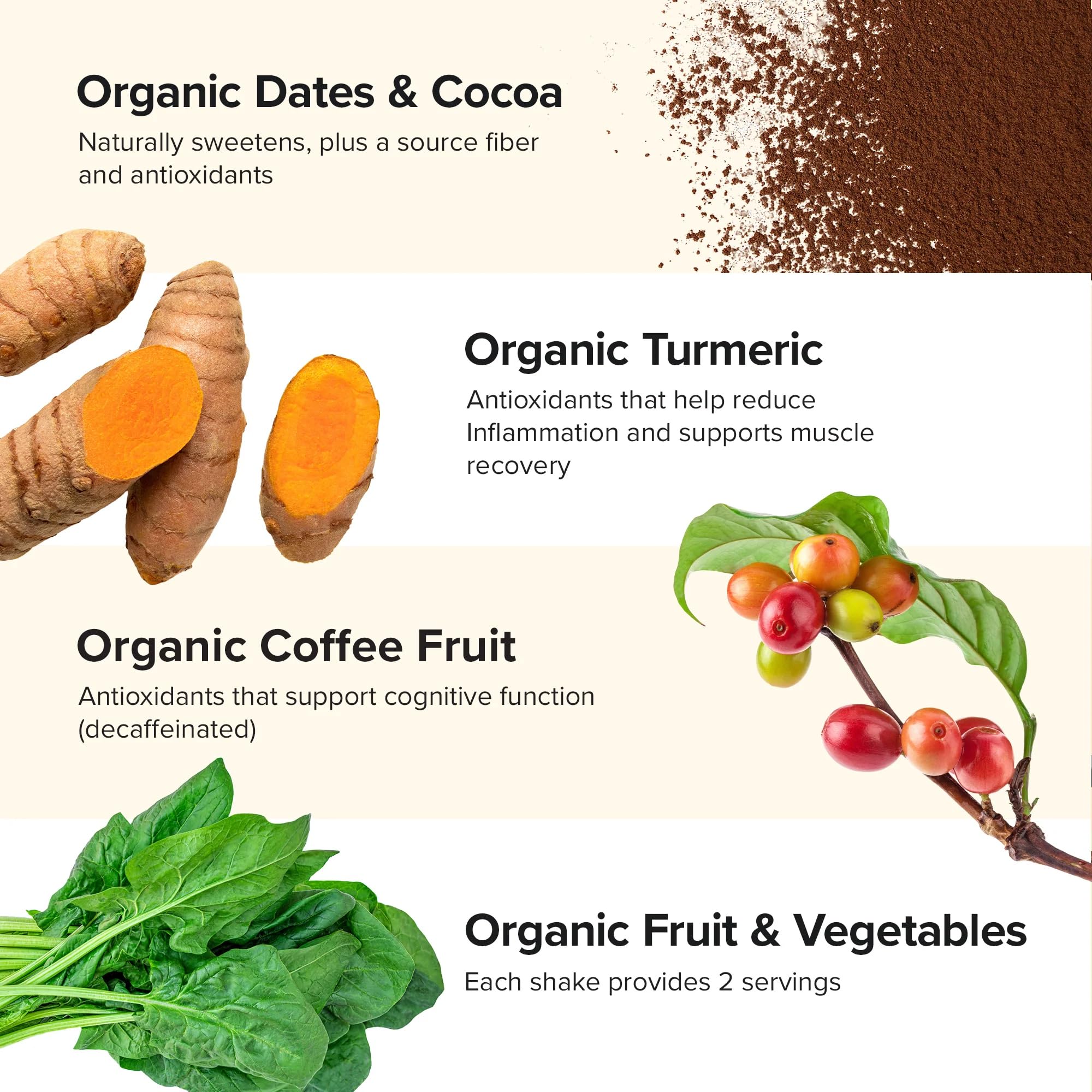 Sur Nutrition Organic Meal Replacement Shake - 23g Plant Protein, 12g Fiber, Gut Health Support, Vegan (Chocolate)