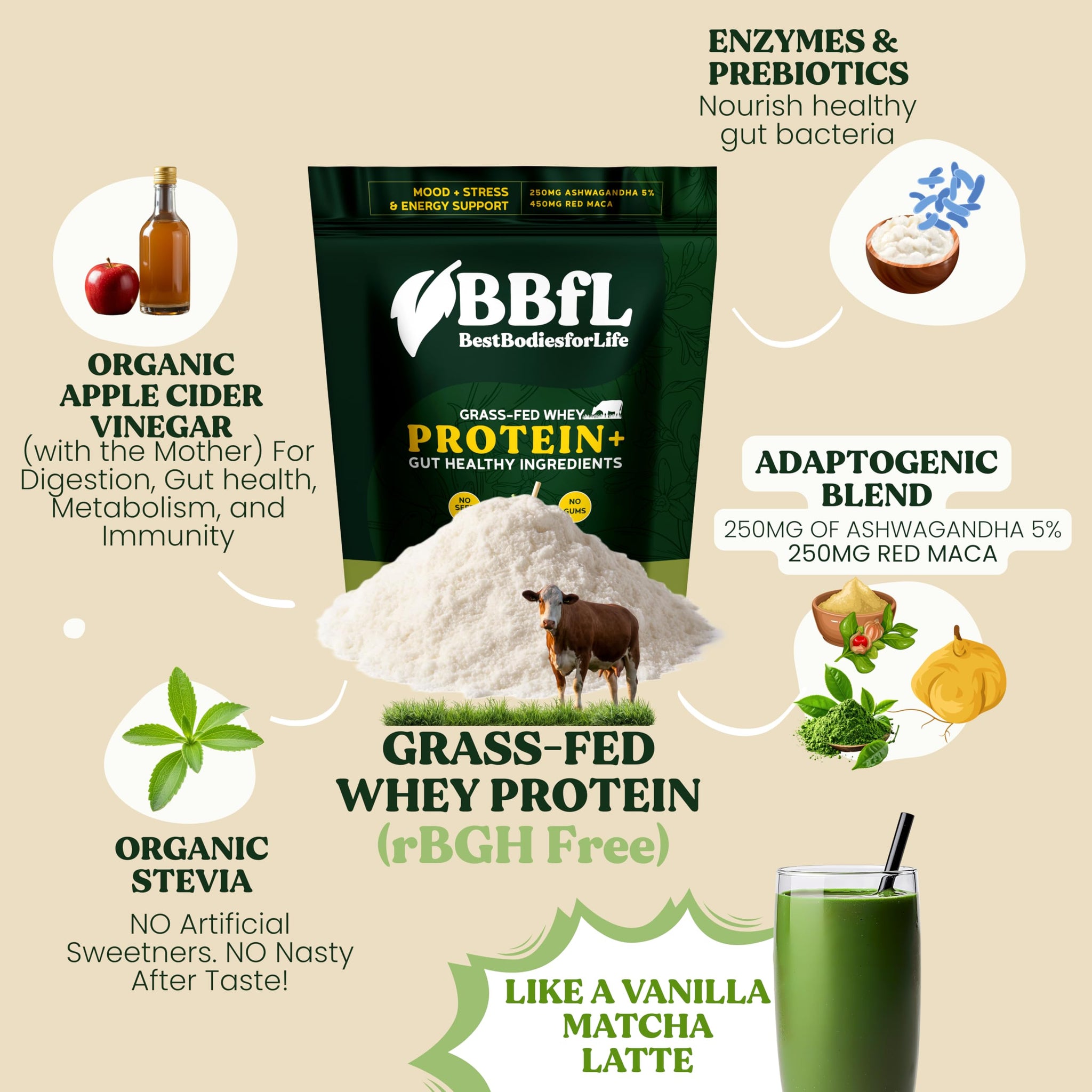 BBfL Grass-Fed Whey Protein Shake - 21g rBGH-Free Protein, Matcha + Apple Cider Vinegar, Prebiotics, Digestive Enzymes, Adaptogens for Stress & Mood