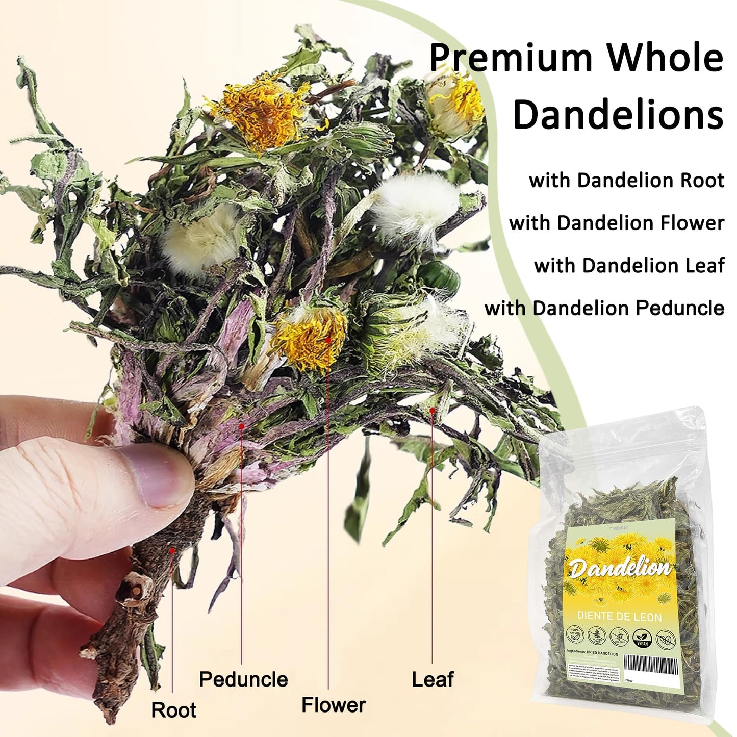 Diente de Leon (Whole Dandelion) - 7 oz Wildcrafted Natural Dandelion Root & Dandelion Loose Leaf Herbal Tea for Digestive Support & Liver and Kidney