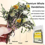 Diente de Leon (Whole Dandelion) - 7 oz Wildcrafted Natural Dandelion Root & Dandelion Loose Leaf Herbal Tea for Digestive Support & Liver and Kidney