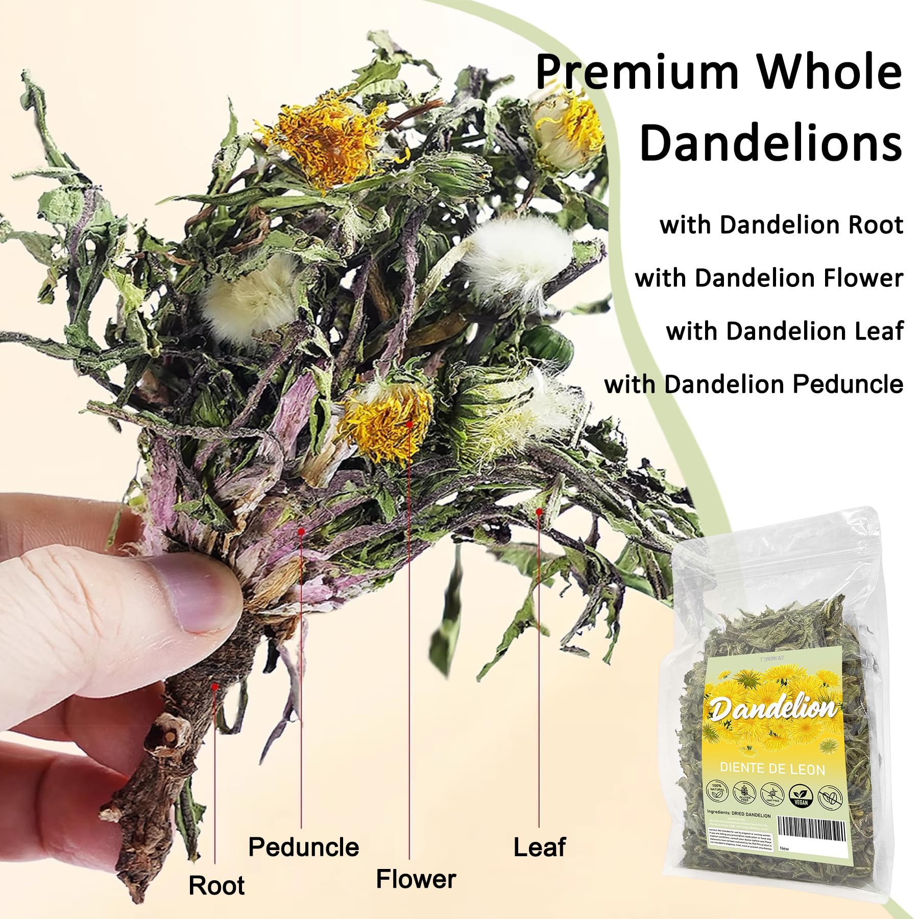 Diente de Leon (Whole Dandelion) - 7 oz Wildcrafted Natural Dandelion Root & Dandelion Loose Leaf Herbal Tea for Digestive Support & Liver and Kidney