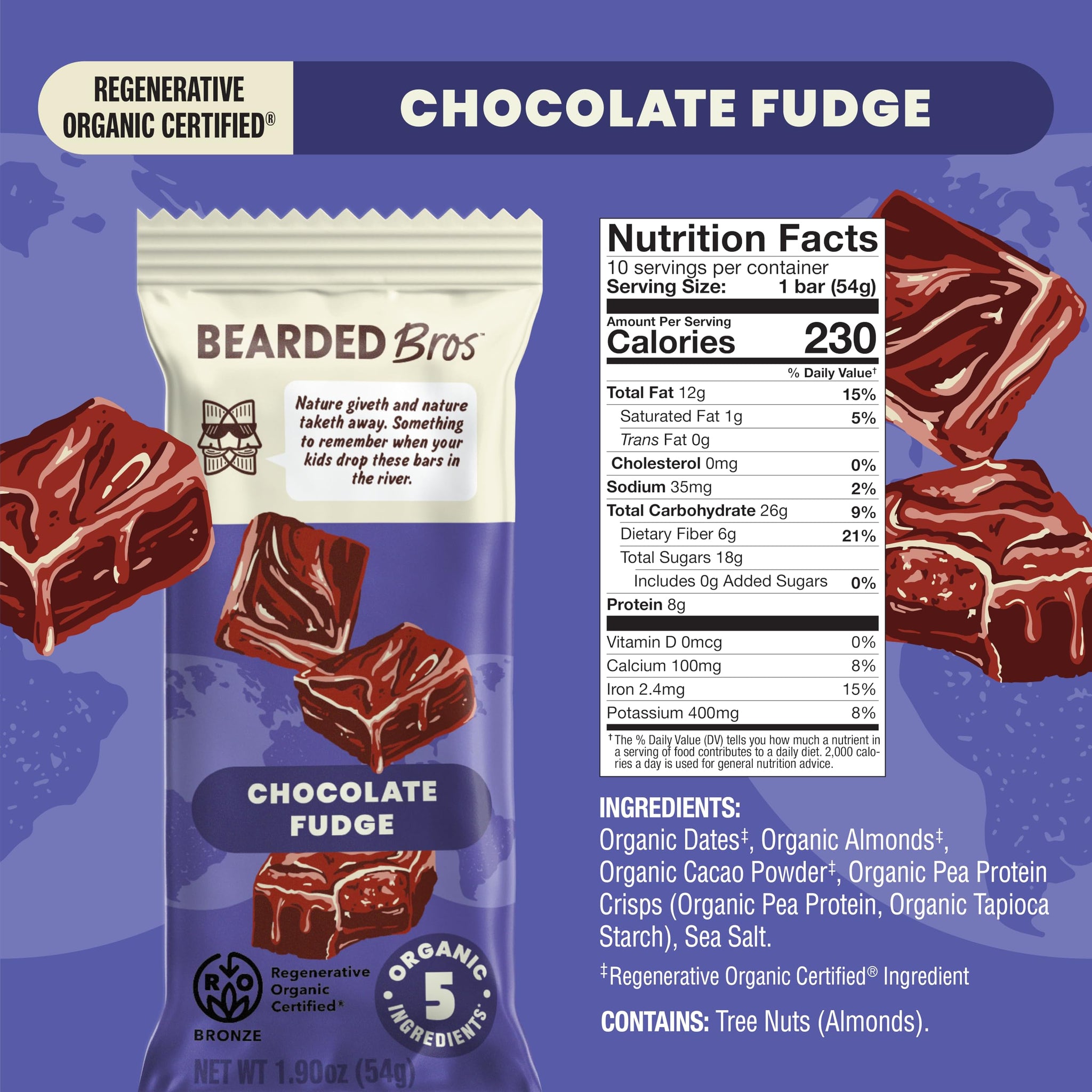 Bearded Brothers Organic Vegan Energy Bars - Gluten & Soy Free, Paleo, Whole 30 | Non GMO, Low Glycemic, High Protein, Fiber (10 Pack, Chocolate