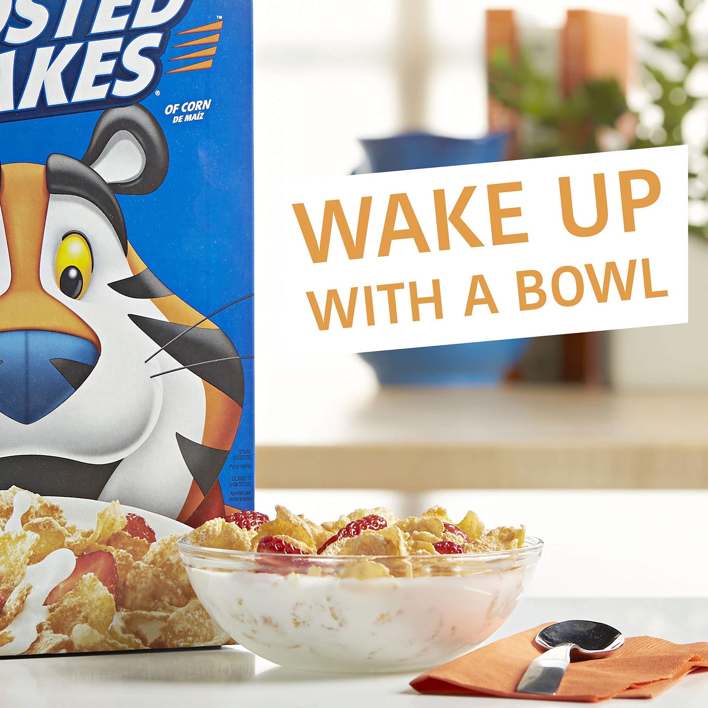 Kellogg's Fat-Free Breakfast Cereal, Frosted Flakes, 19.2 Ounce(Pack of 12)