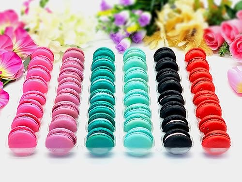 48 Macarons Pack | The Berries