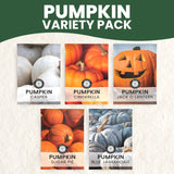Pumpkin Seeds | 5 Invidiual Packs | 2026 Season | Non-GMO | Jack O Lantern, Sugar Pie, Casper, Cinderella & Blue Jarrahdale! | for Planting Indoor