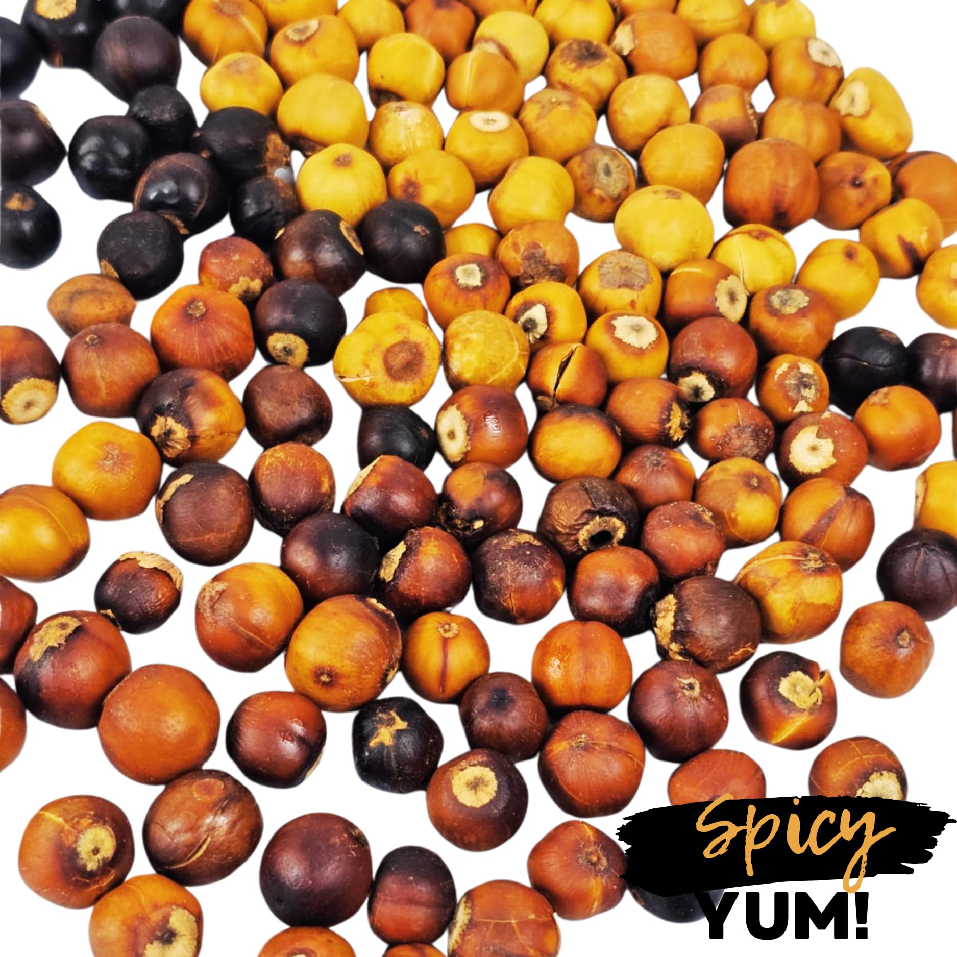Spicy Yum! Premium Country Onion (Bush Onion, Bobimbi, Rondelle) - Peeled, Washed & Dehydrated Aromatic Onion Bulbs - No Additives, Non-GMO - Ready