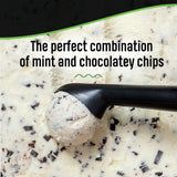Breyers Ice Cream for a Delicious Frozen Treat Mint Chocolate Chip Made with 100% Grade A Milk & Cream 48 oz