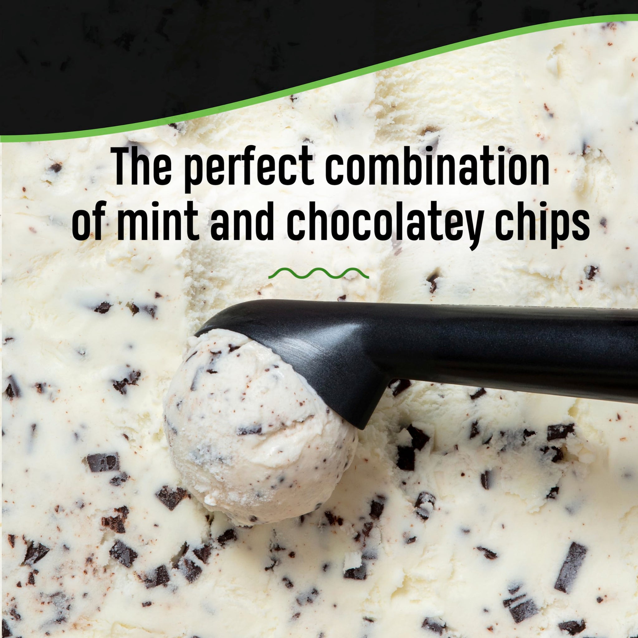 Breyers Ice Cream for a Delicious Frozen Treat Mint Chocolate Chip Made with 100% Grade A Milk & Cream 48 oz