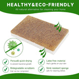 Graham & Ash Co Natural Kitchen Sponge - Biodegradable Compostable Cellulose and Coconut Scrubber - Pack of 10 Eco Friendly Sponges