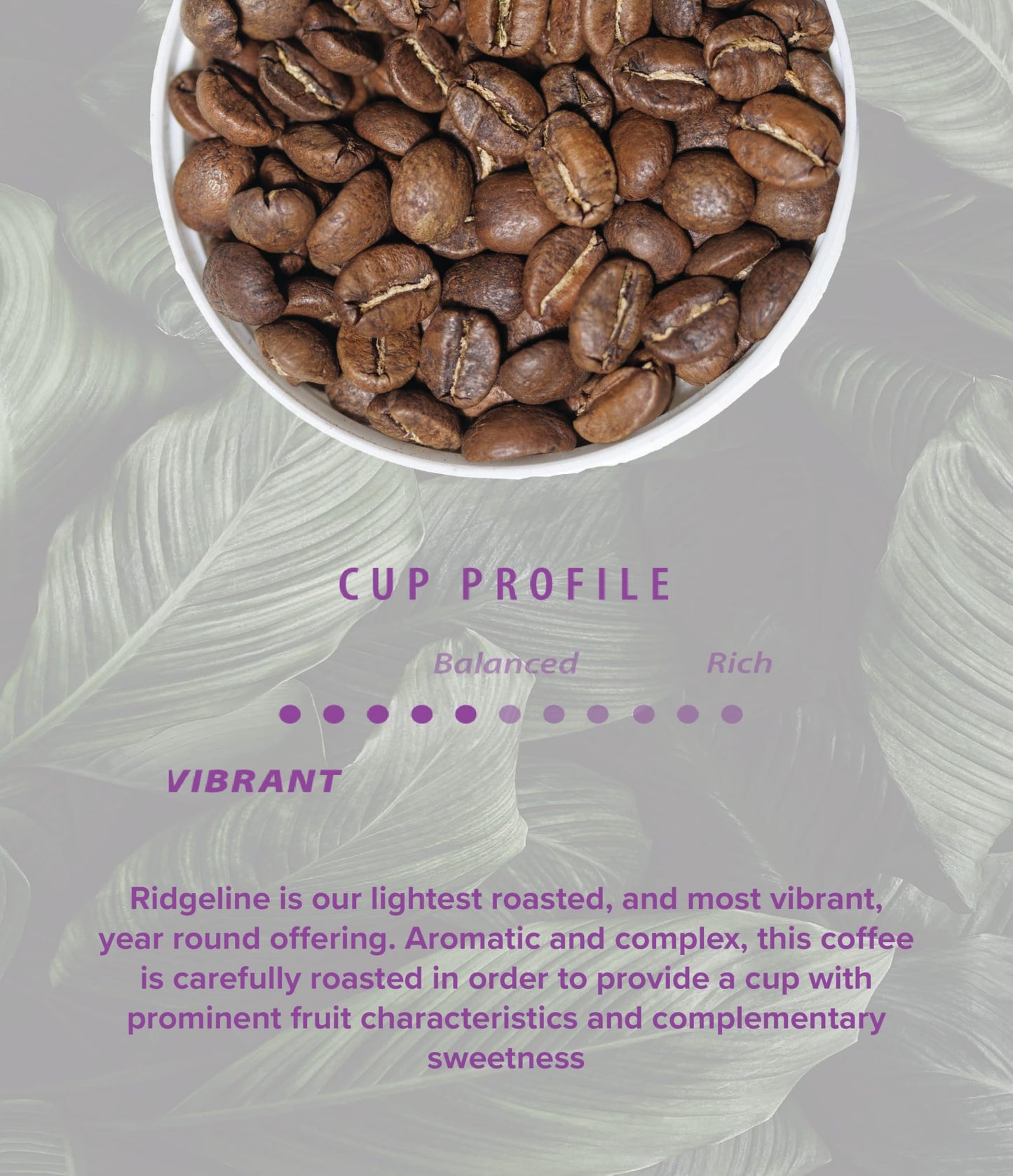 Rothrock Coffee - Ridgeline - Medium Roast - Whole Bean coffee - Colombian - blend coffee - 12oz Bag
