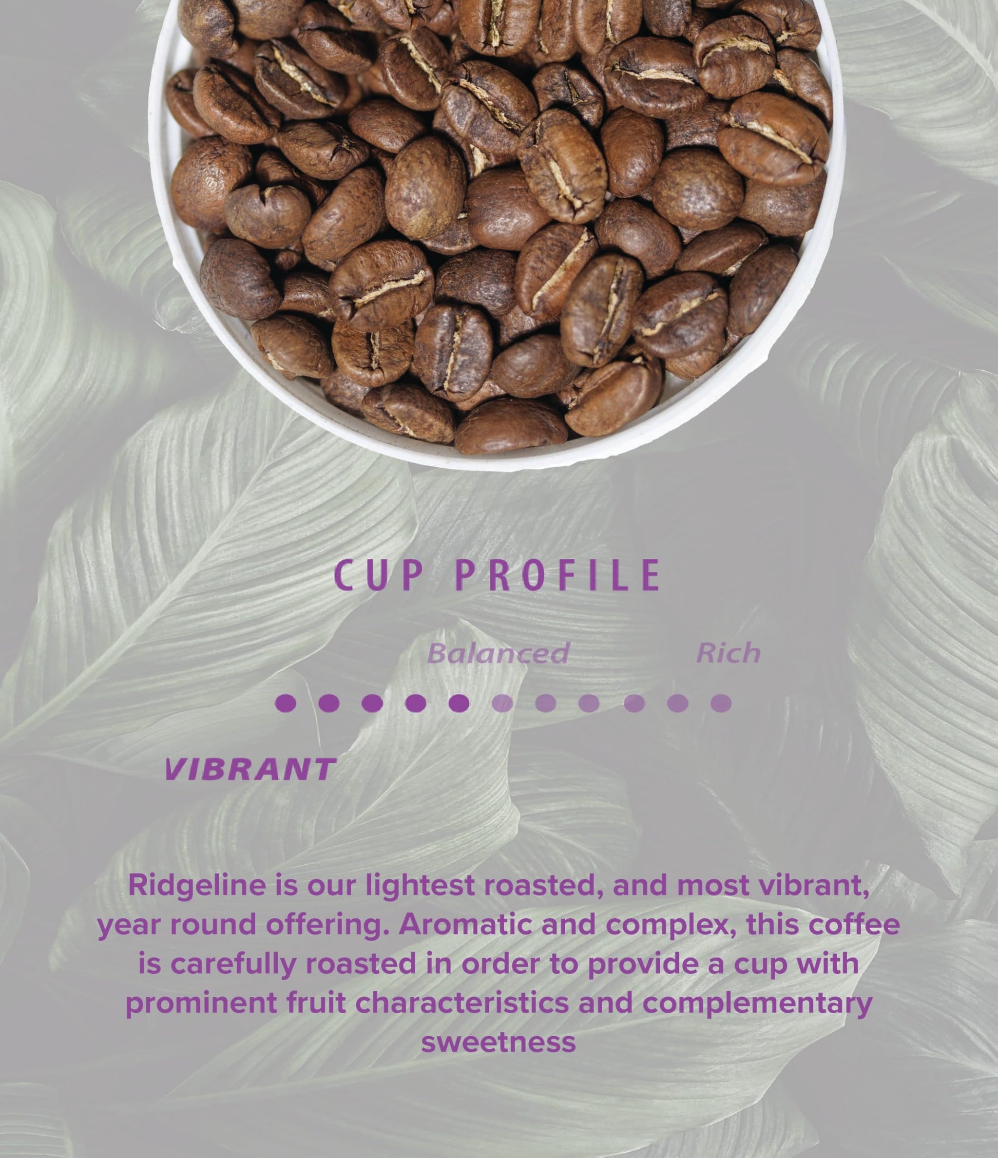 Rothrock Coffee - Ridgeline - Medium Roast - Whole Bean coffee - Colombian - blend coffee - 12oz Bag