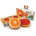 Siege 2 Sided Fruit Orange Design Sponges (2 Pk), 647
