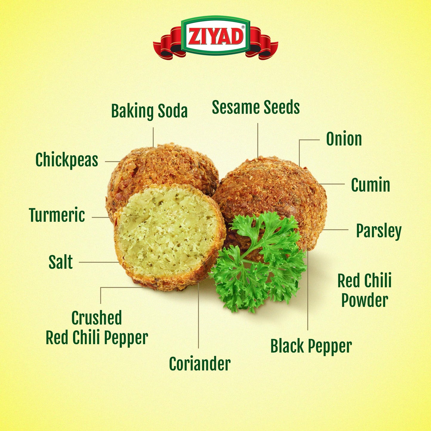 Ziyad Falafel Dry Mix - 12 oz Gluten-Free, Vegan, Non-GMO, No Additives, No Preservatives - Vegan/Vegetarian Spice Mix with Minced Onion, Garlic, Sesame - Great for Making Veggie Burgers and Snacks
