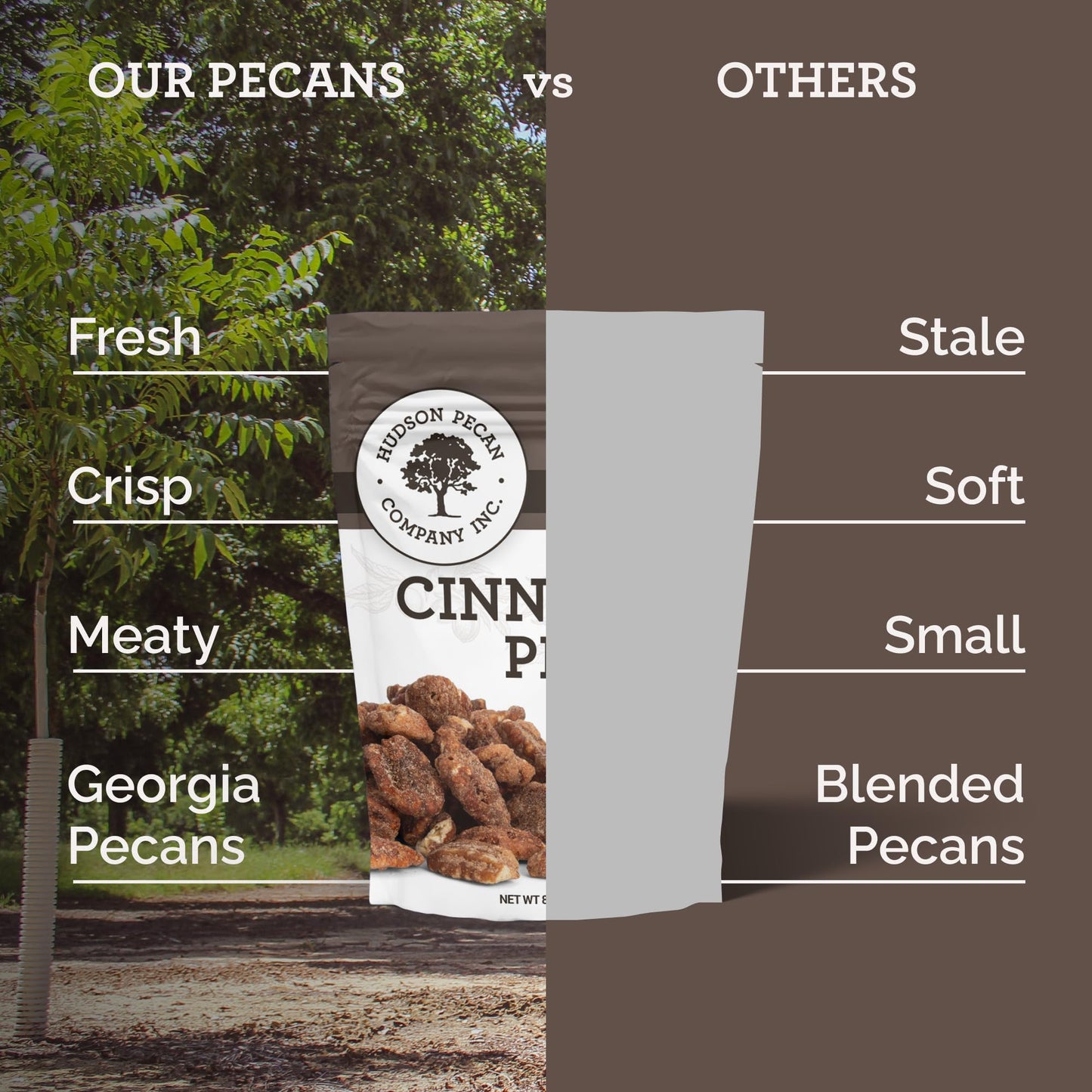 HUDSON PECAN COMPANY: Cinnamon Candied Pecans | Georgia Grown Family Owned. Cinnamon & Sugar Candy Coated, Expertly Baked to Perfection, (Perfect