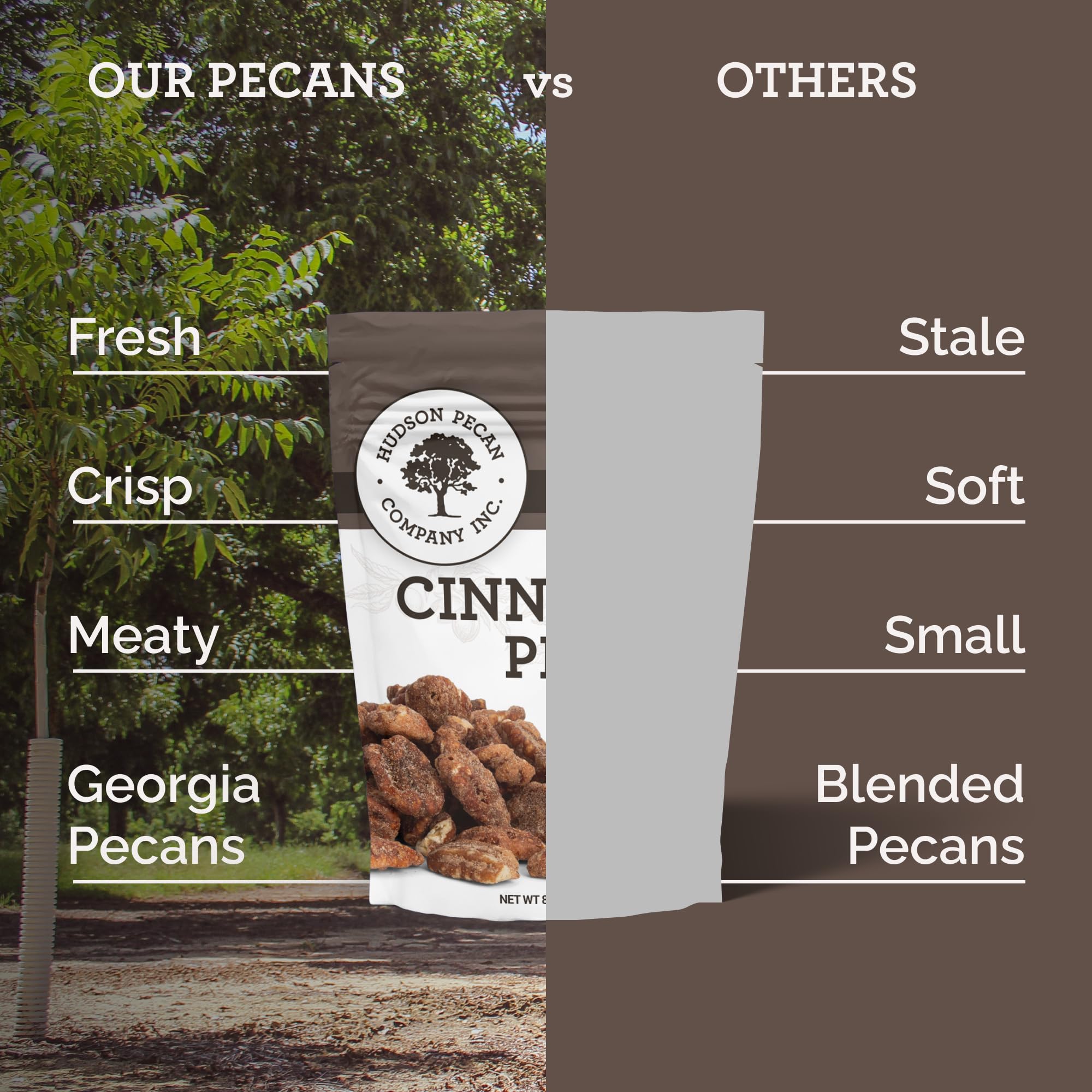HUDSON PECAN COMPANY: Cinnamon Candied Pecans | Georgia Grown Family Owned. Cinnamon & Sugar Candy Coated, Expertly Baked to Perfection, (Perfect