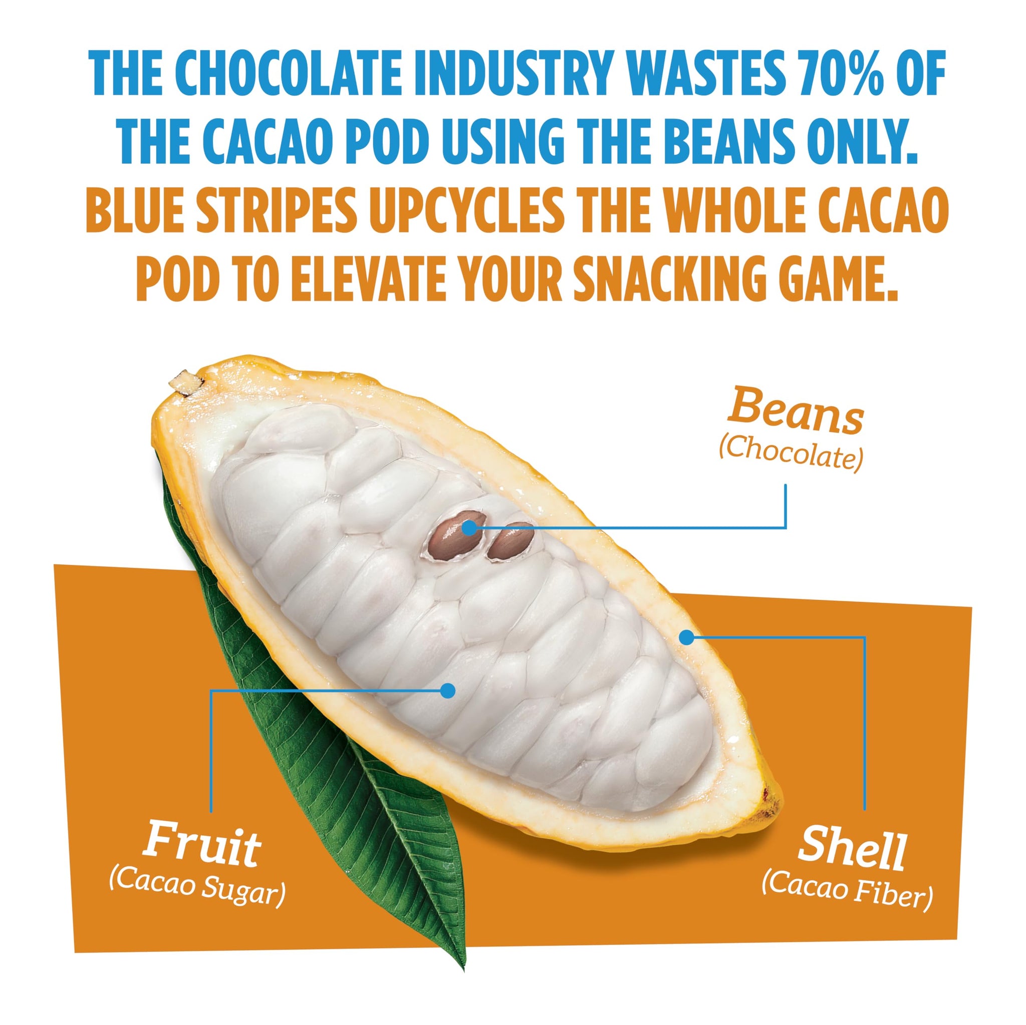 Blue Stripes - Peanut Butter Crunch Whole Cacao Truffle Chocolate Bars, 70% Cacao, Peanut Butter Crunch, Healthy Chocolate, Vegan, No Refined Sugar