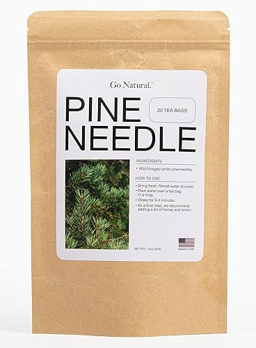 Pine needle tea, wild-foraged in the USA, picked from northern white pines | Protects against infection, strengthens immunity, high in antioxidants