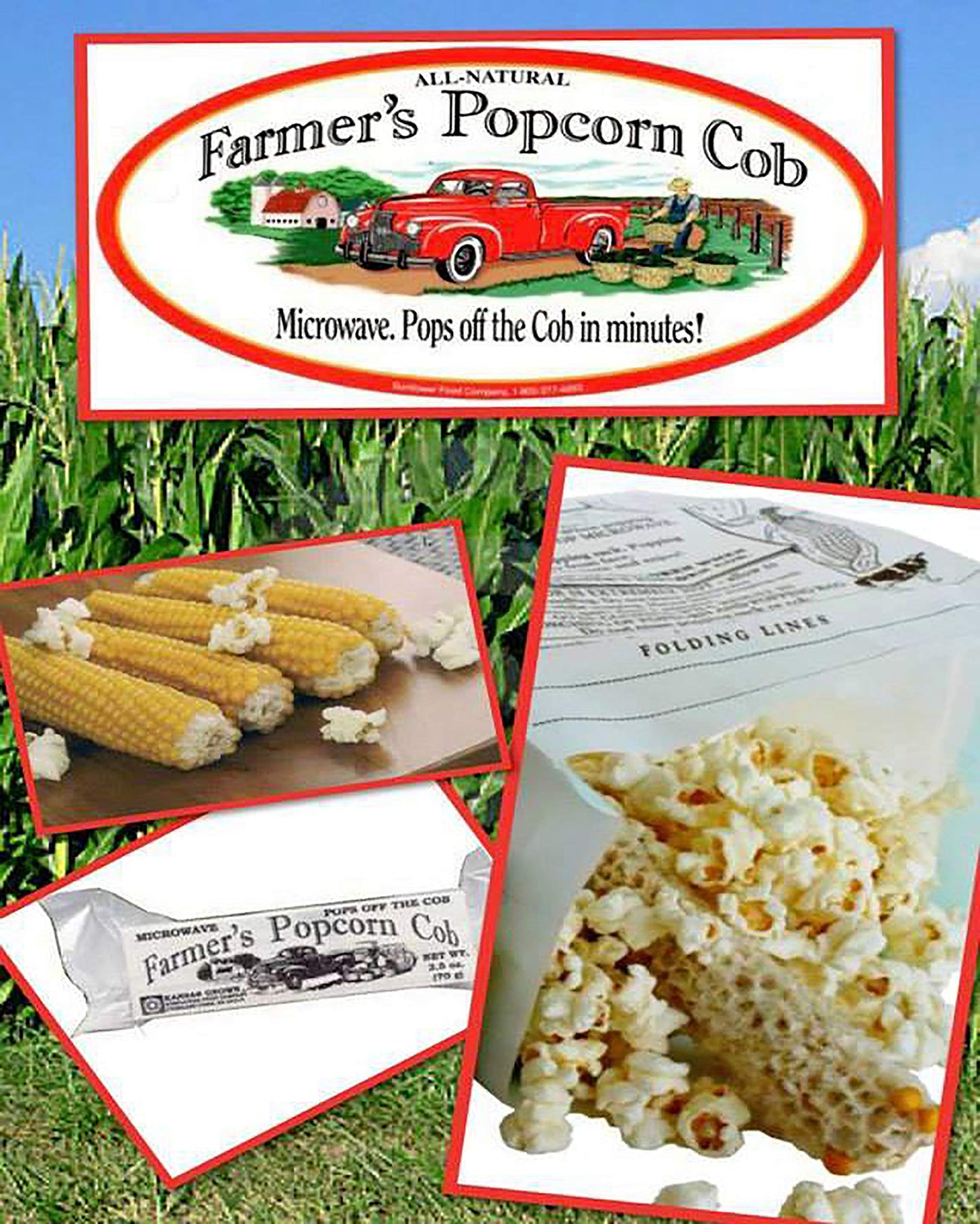 Farmers Popcorn Cob - Microwave Popcorn That Pops Off the Cob - Pack of 3 - All Natural, No Additives, Kansas Grown, Non-GMO Popcorn - 2.5 Ounce
