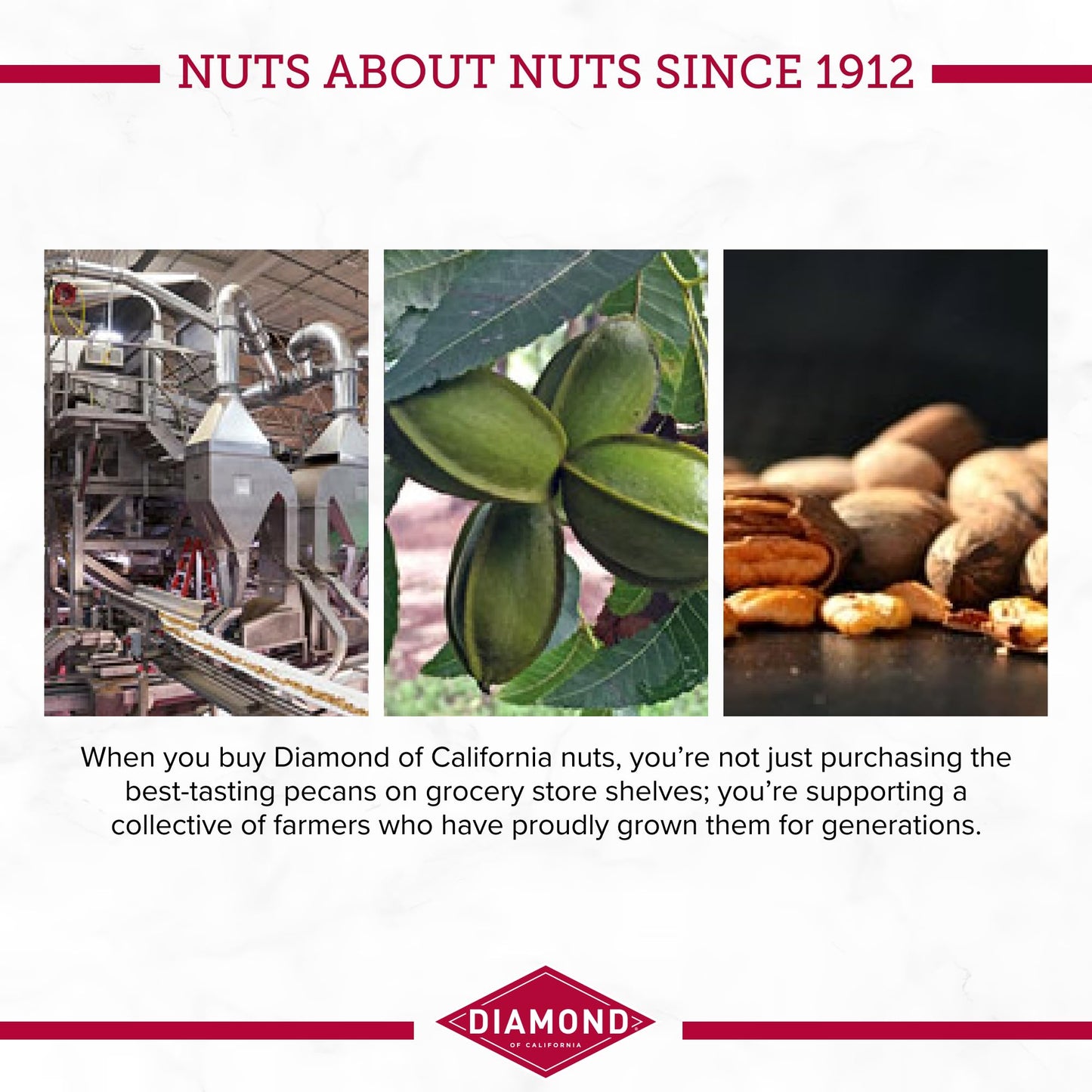 Diamond of California Original Glazed Pecans, 5.5 oz