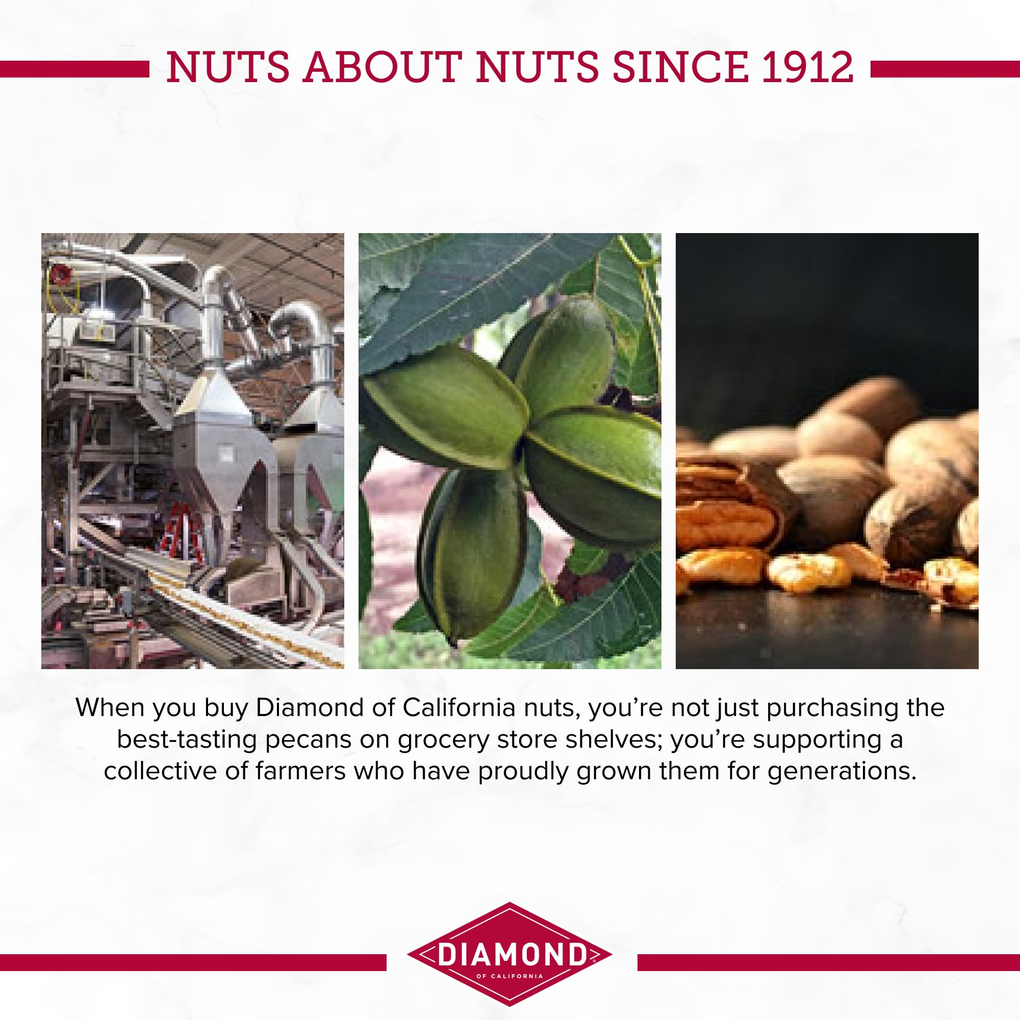 Diamond of California Original Glazed Pecans, 5.5 oz