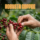 Blu Ore Black Obsidian Robusta Coffee Beans - Single Origin Vietnamese Whole Bean Coffee, Bold Strong Espresso Beans with Chocolate & Cacao Notes