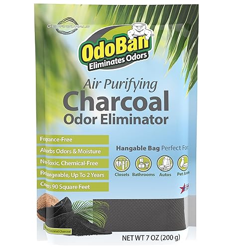 OdoBan Air Purifying Charcoal Natural Odor Eliminator, Non-Toxic Formula, Made in the USA, Fragrance Free, 200 Gram Bag