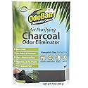 OdoBan Air Purifying Charcoal Natural Odor Eliminator, Non-Toxic Formula, Made in the USA, Fragrance Free, 200 Gram Bag