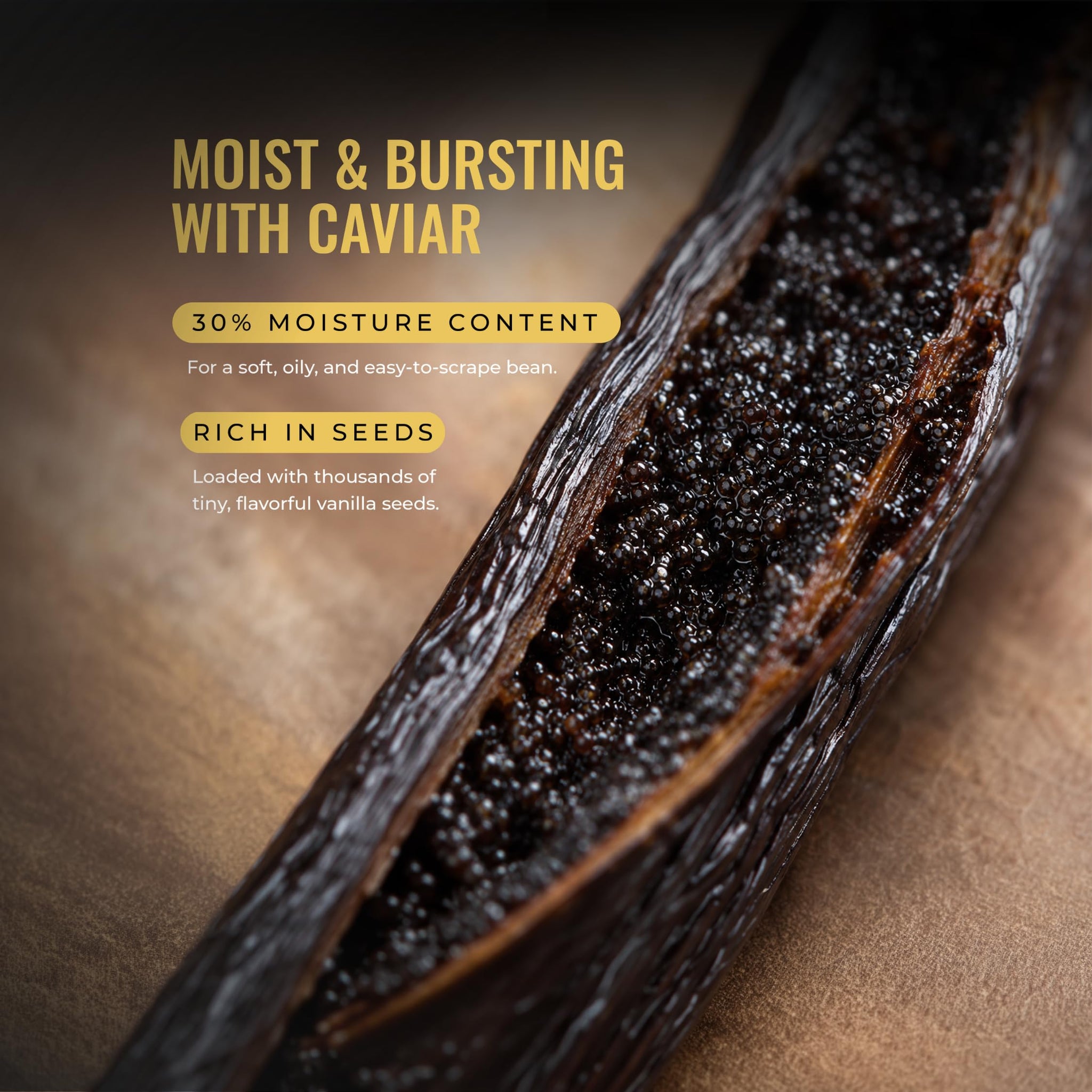 5Senses Uganda Vanilla Beans | Grade A Gourmet Whole Pods | Single Origin (Rwenzori Valleys) | High Vanillin (~2.5%) & Moisture (~30%) | 17-19cm Long
