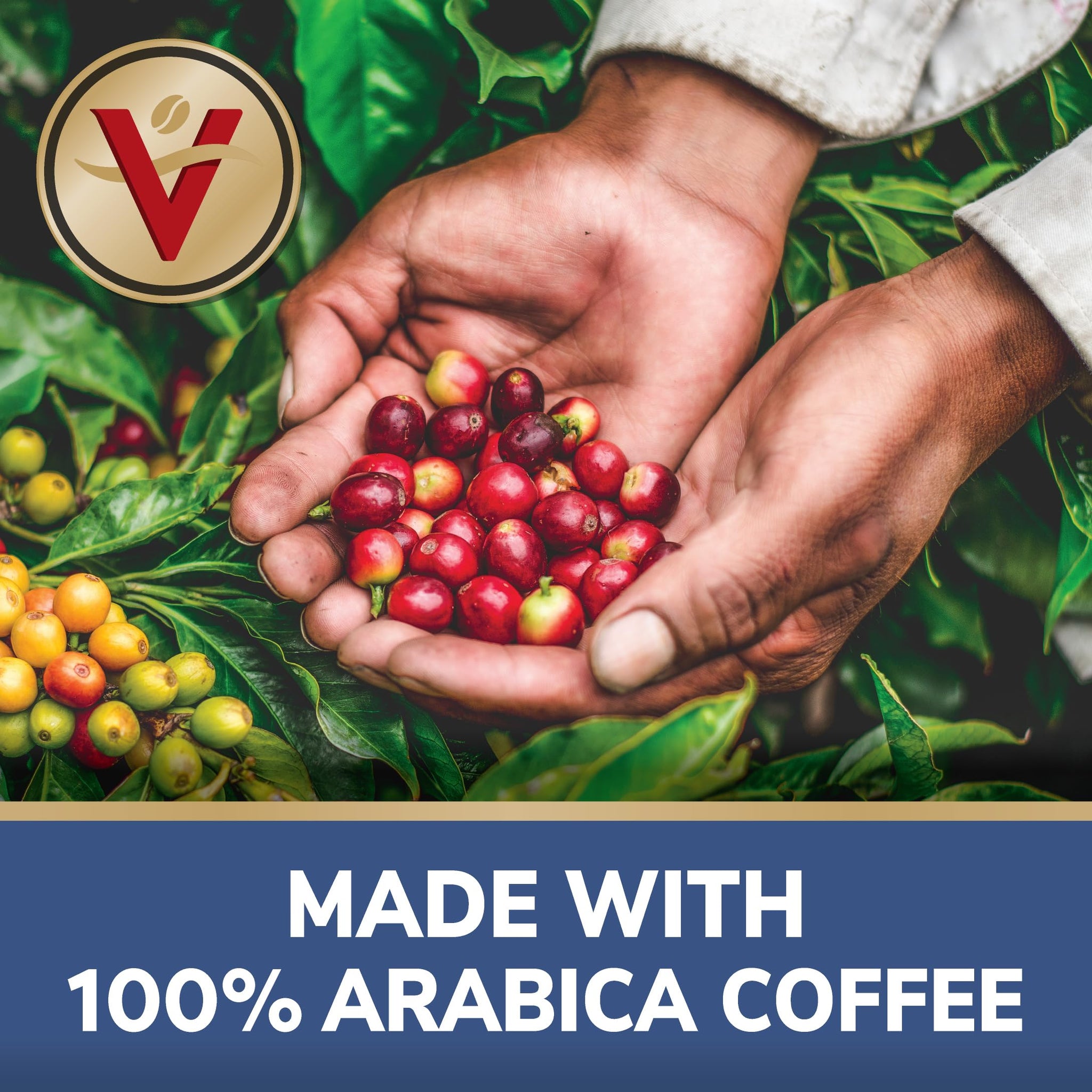 12ct 100% Colombian Coffee SSC