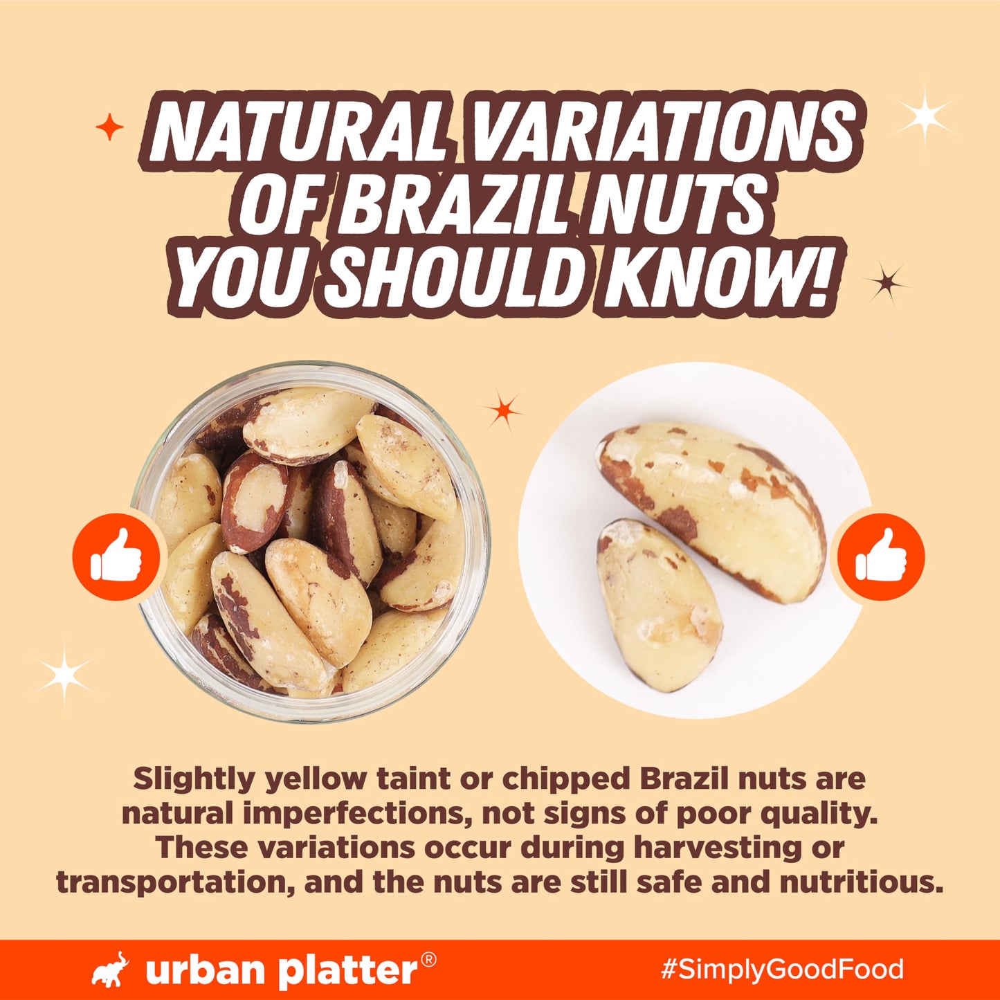 Urban Platter Shelled Brazil Nuts | Imported From Peru | Wholesome and Delicious | 250g (8.81 Ounce)