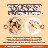 Urban Platter Shelled Brazil Nuts | Imported From Peru | Wholesome and Delicious | 250g (8.81 Ounce)