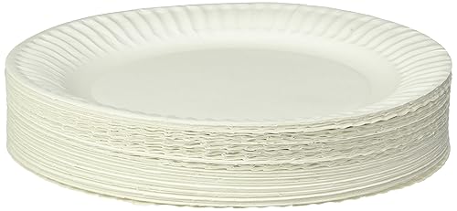 Empress Uncoated Paper Plate, 9 Inches, White, Pack of 100