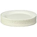 Empress Uncoated Paper Plate, 9 Inches, White, Pack of 100