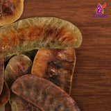 Alebrixes | Senna Pods Herbal Tea (4oz)| Premium Quality Whole Senna Pods Tea | Te Senos de Mujer Vainas Hoja Sen | Wildcrafted.