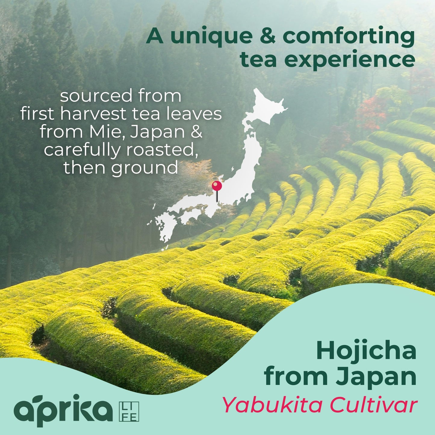 AprikaLife Organic Hojicha Green Tea Powder, USDA & JAS Roasted Green Tea from Japan, Authentic Japanese Houjicha Perfect for Lattes, Smoothies