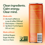 Plant Press - Organic Energy Drink, 100 mg Caffeine Clean Coffee Alternative, Full Range of Vitamins, Electrolytes, No Sugar Alcohols, No