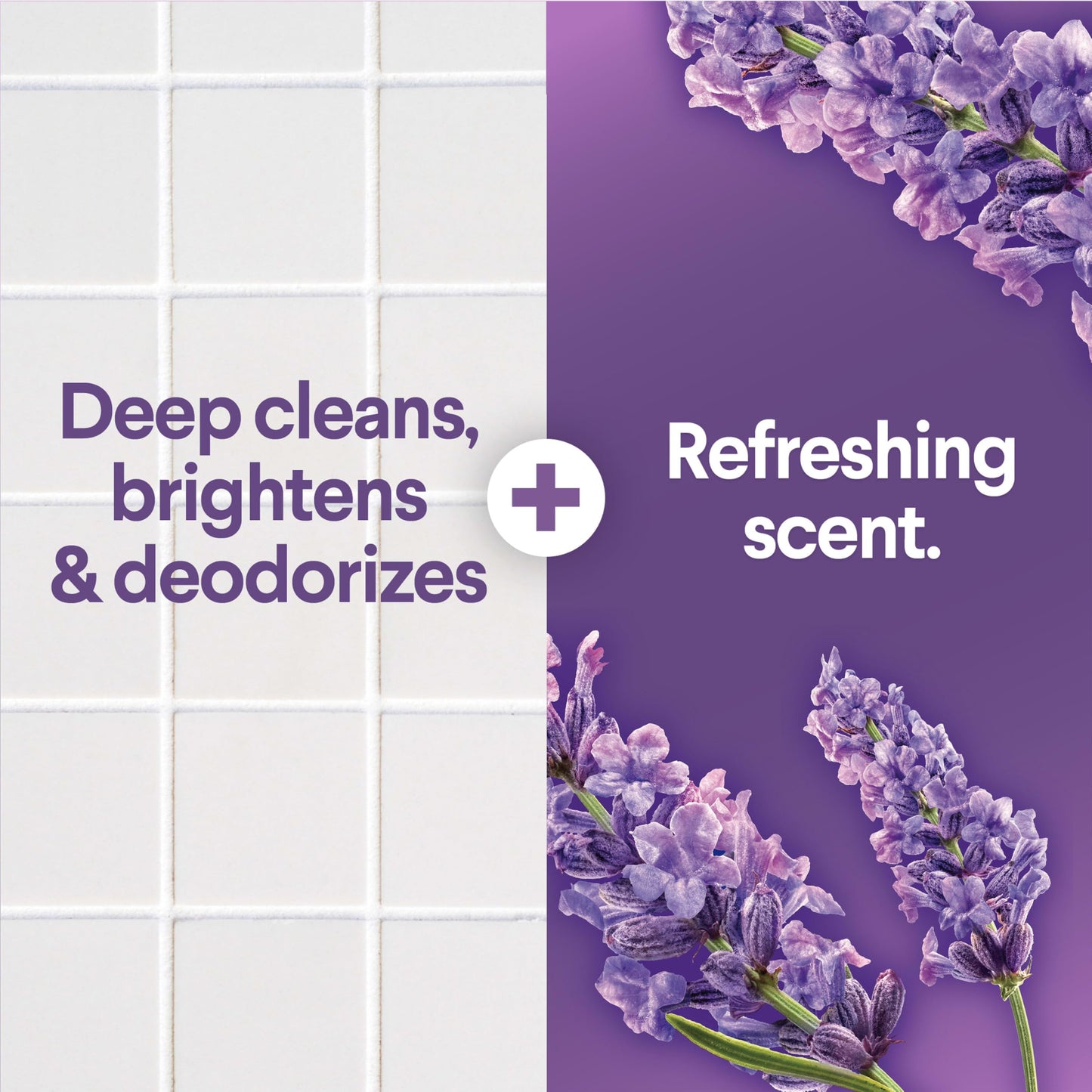 Clorox Scentiva Scented Bleach, Lavender and Jasmine, 81 Fluid Ounces