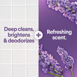 Clorox Scentiva Scented Bleach, Lavender and Jasmine, 81 Fluid Ounces