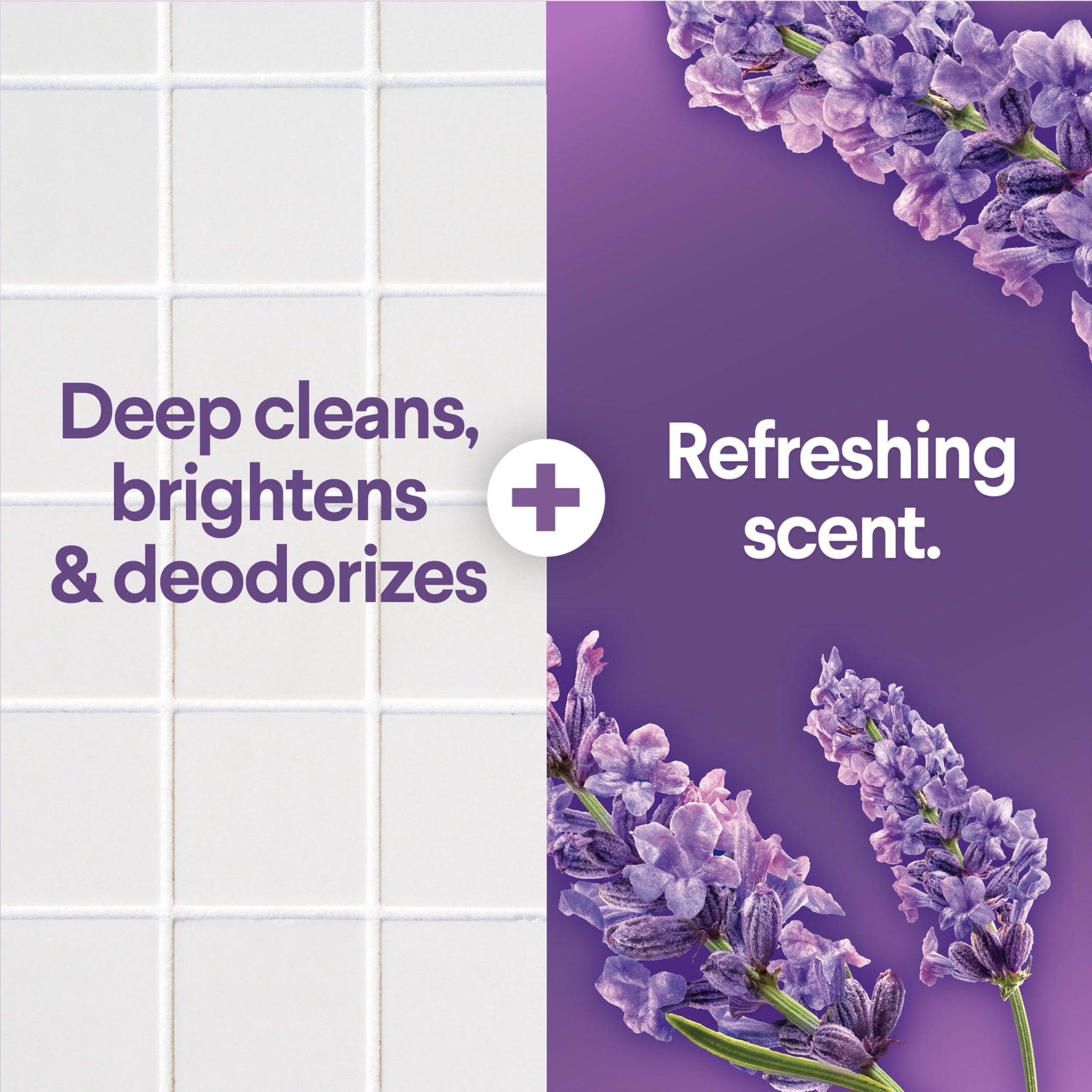 Clorox Scentiva Scented Bleach, Lavender and Jasmine, 81 Fluid Ounces